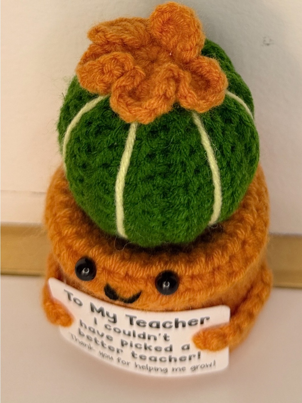 Handmade Green & Orange Crochet Cactus Teacher Gift